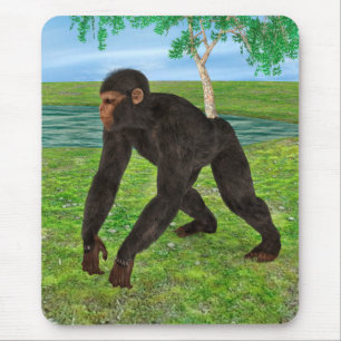 Schimpans Musmatta