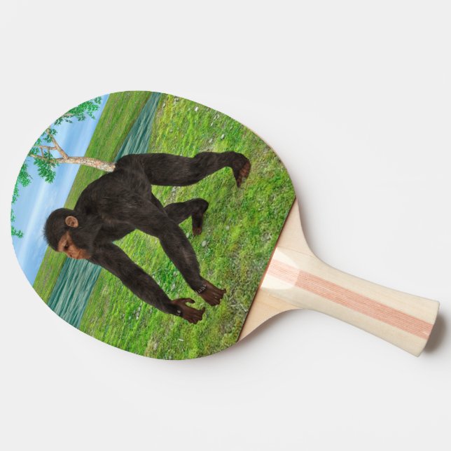 Schimpans Pingisracket (Sidan)