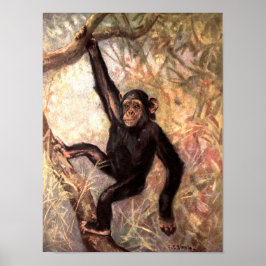 Schimpansapa monkey av CE Swan, Vintage vilda djur Poster