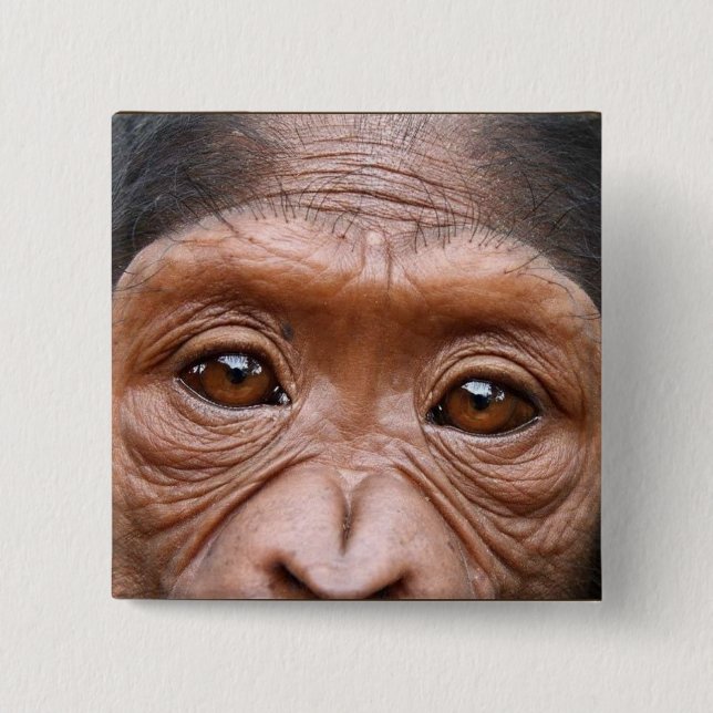 SCHIMPANSÖGON KNÄPPAS KNAPP (Framsida)