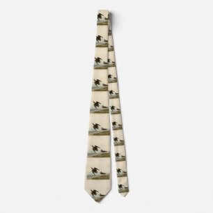 Schinz Sandpiper från Audubon's Birds of America Slips