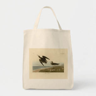 Schinz Sandpiper från Audubon's Birds of America Tygkasse