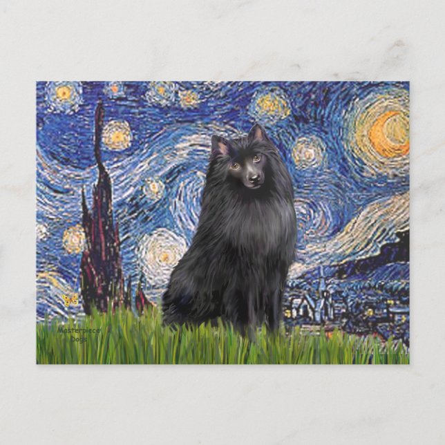Schipperke 2 - Stjärnkväll Vykort (Framsida)