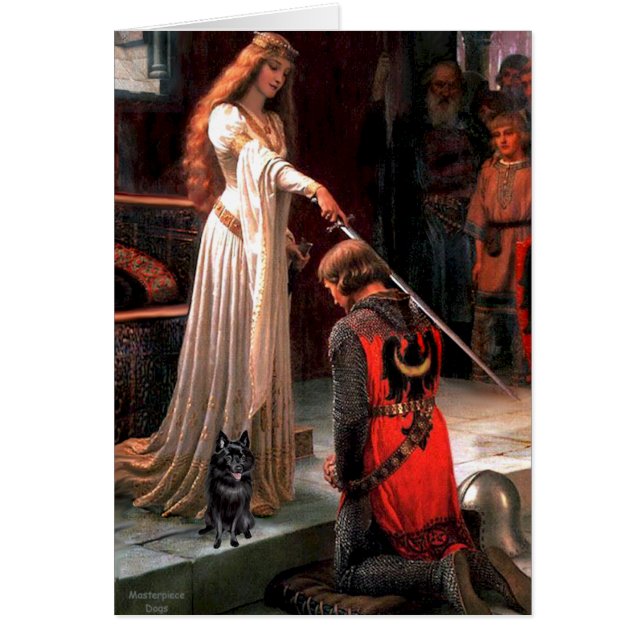 Schipperke 4 - Accolade Hälsningskort (Framsidan)