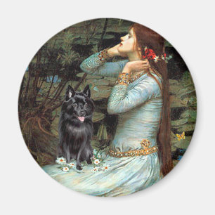 Schipperke 4 - Ophelia (sittande) Magnet