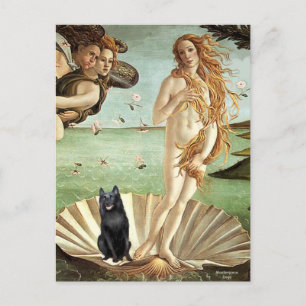 Schipperke 5 - Venus födelse Vykort