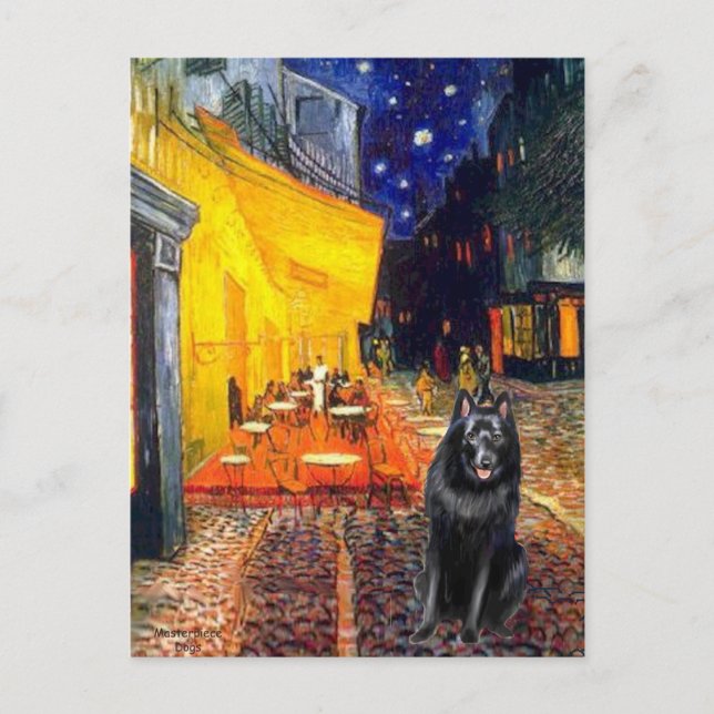 Schipperke 7 - Terrasscafé Vykort (Framsida)