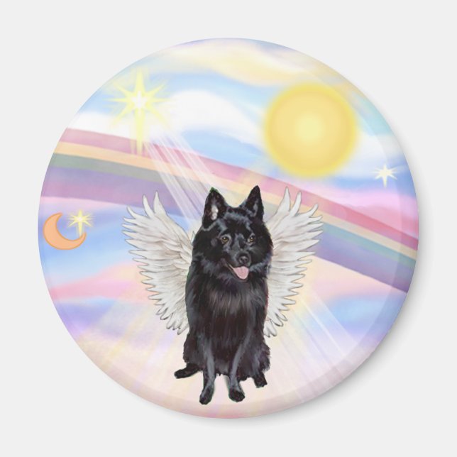 Schipperke Angel Magnet (Framsidan)