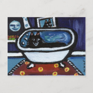 Schipperke-bad Vykort