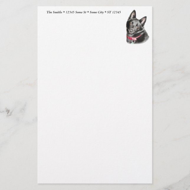 Schipperke Bild Brevpapper (Framsida)