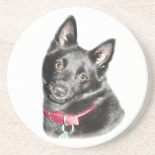Schipperke Bild Underlägg