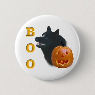 Schipperke Boo Knapp