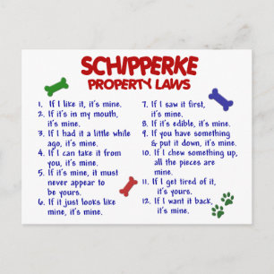SCHIPPERKE Egendom LAGSTIFTNING 2 Vykort