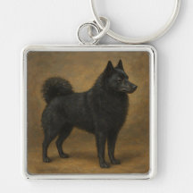 Schipperke