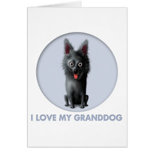 Schipperke Granddog Hälsningskort