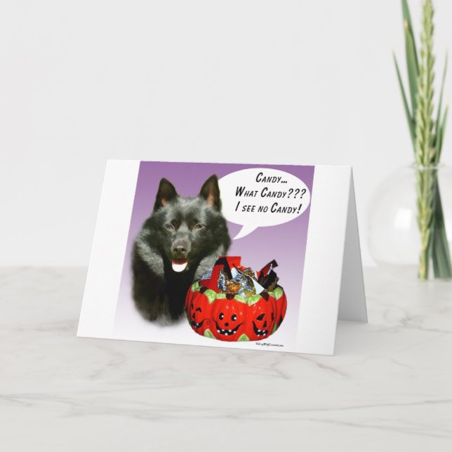 Schipperke Halloween Candy Kort (Framsida)