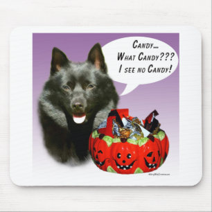 Schipperke Halloween Candy Musmatta