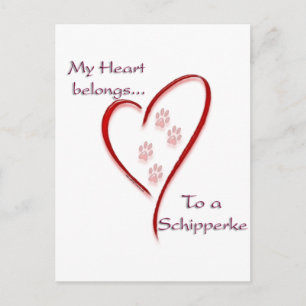 Schipperke Heart-Tillhören Vykort