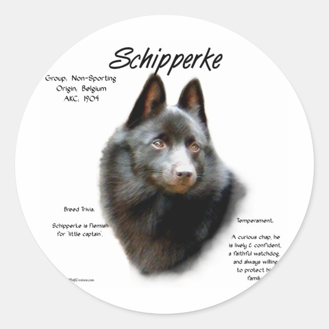 Schipperke-historikdesign Runt Klistermärke (Framsida)