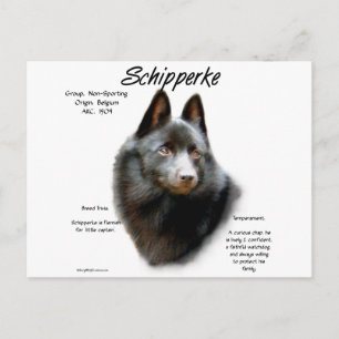 Schipperke-historikdesign Vykort
