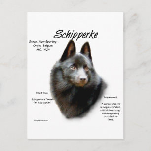 Schipperke-historikdesign Vykort