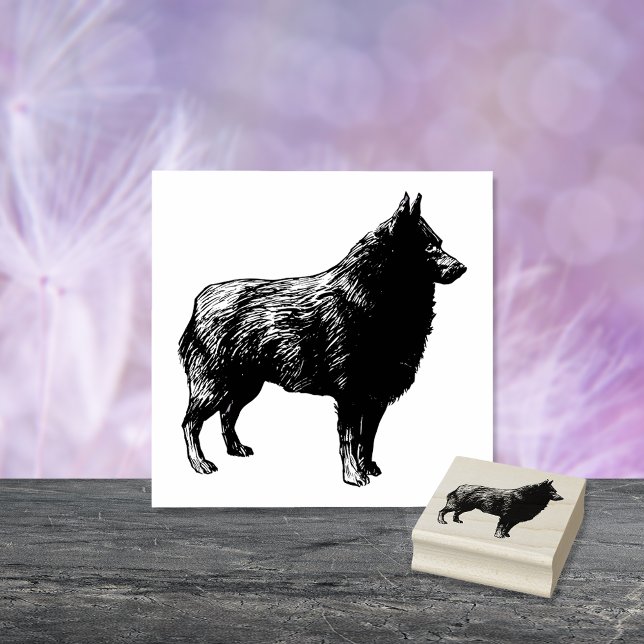 Schipperke Hund aveln Stämpel (Skapare uppladdad)