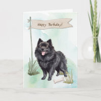 Schipperke Hund aveln utomhus under födelsedagssky