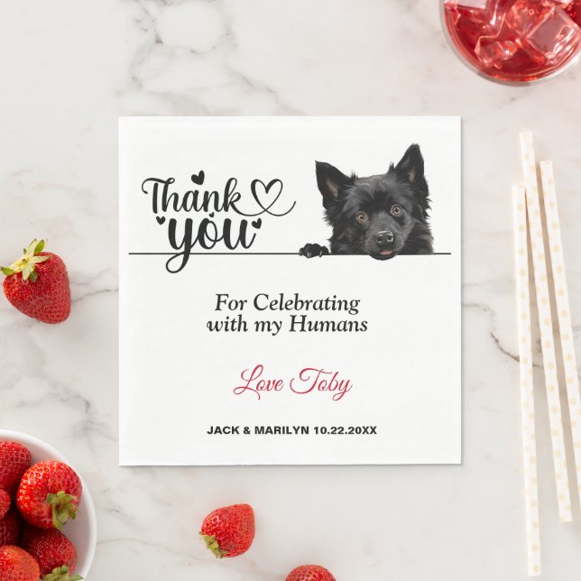 Schipperke Hund Papper Napkins Pappersservett (Insitu)