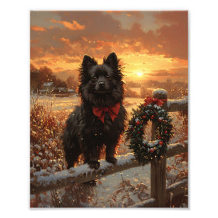 Schipperke Hund Rustic Winter Sunset Fototryck