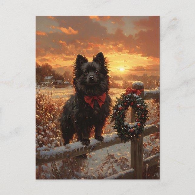 Schipperke Hund Rustic Winter Sunset Vykort (Framsida)