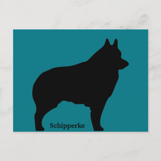 Schipperke hund silhouette vykort