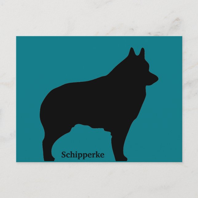 Schipperke hund silhouette vykort (Framsida)