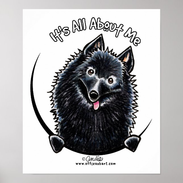 Schipperke IAAM Poster (Framsidan)
