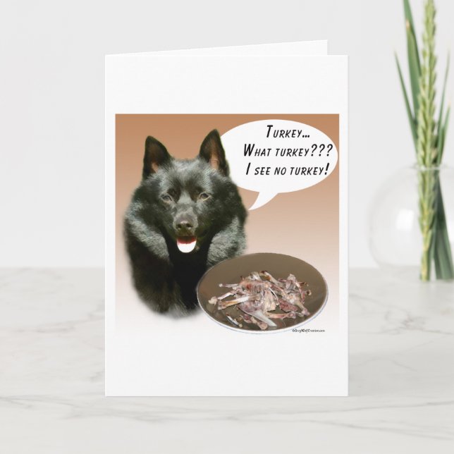 Schipperke Kalkon Kort (Framsida)