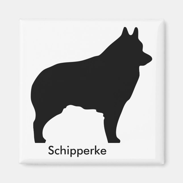 Schipperke Magnet (Framsidan)