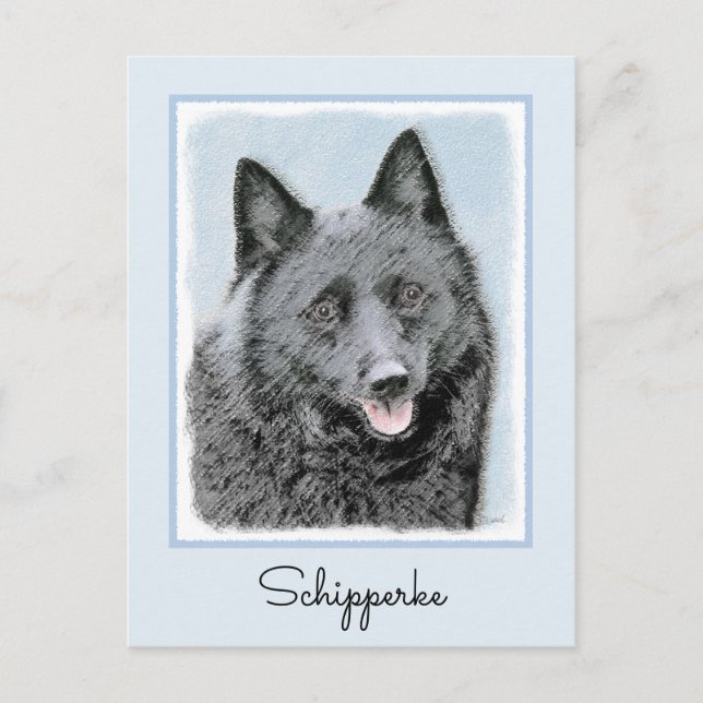Schipperke Painting - Cute Original Hund Art Vykort (Framsida)
