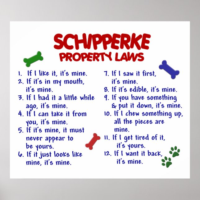 SCHIPPERKE PL2 POSTER (Framsidan)