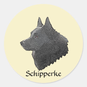 Schipperke Runt Klistermärke