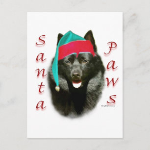 Schipperke Santa Paws Helg Vykort