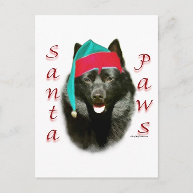 Schipperke Santa Paws Helg Vykort (Framsida)