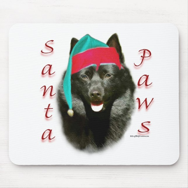 Schipperke Santa Tassar Musmatta (Framsidan)
