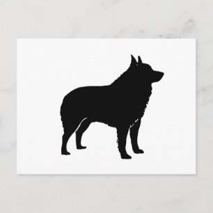 Schipperke silhouette.png vykort