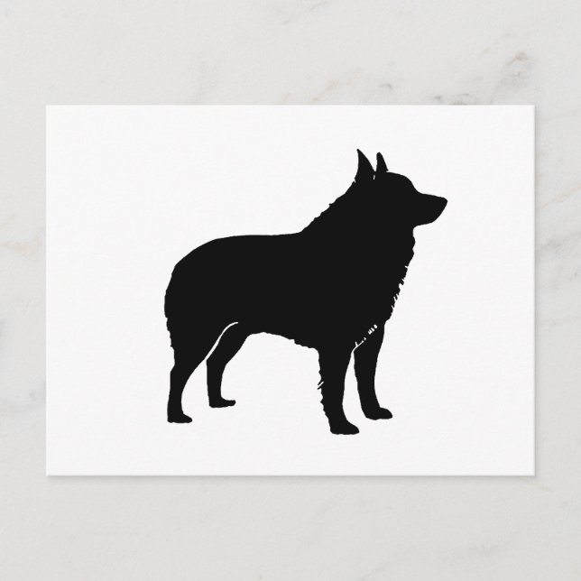 Schipperke silhouette.png vykort (Framsida)