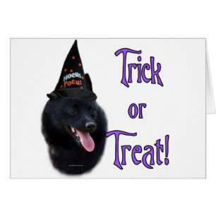Schipperke Trick Hälsningskort