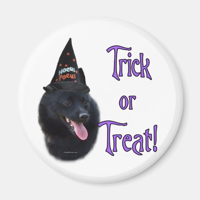 Schipperke Trick Magnet (Framsidan)