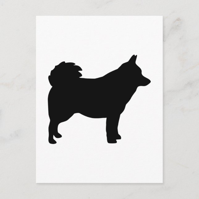 Schipperke Vykort (Framsida)