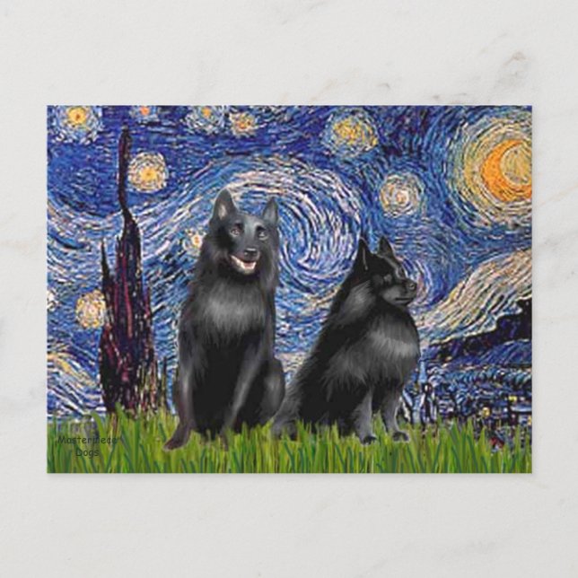 Schipperkees (två,5&amp;6) - Stjärnklar natt Vykort (Framsida)
