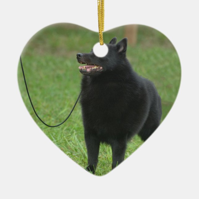 Schipperkehund Julgransprydnad Keramik (Framsidan)
