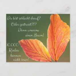 Schlecht drauf? Gestresst! Machs wie ein Koala! Vykort