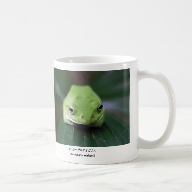 Schlegel's green tree frog kaffemugg (Höger)
